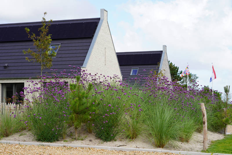 Urlaub am meer Callantsoog